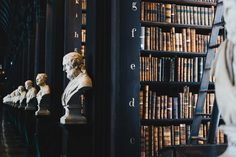 Row of marble busts beside tall dark wood bookshelves filled with antique leather-bound books and a wooden ladder.