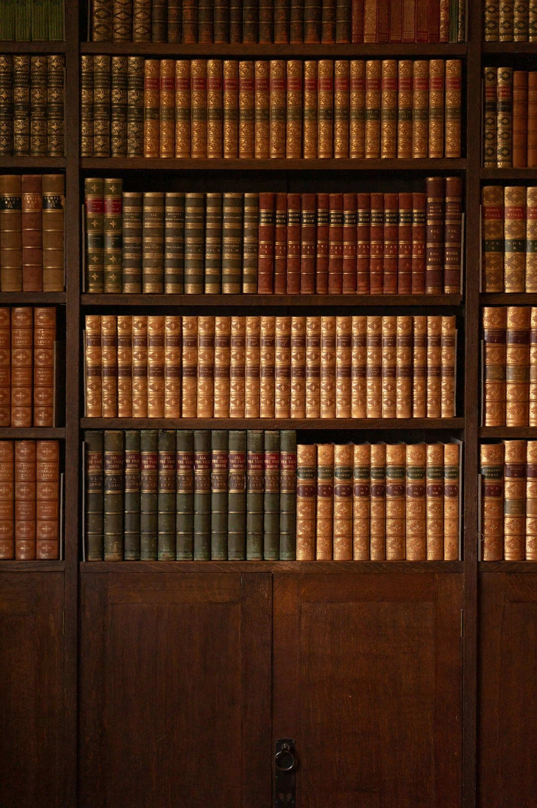 Shelves of antique leather-bound book volumes above wooden cabinet doors in a law library.